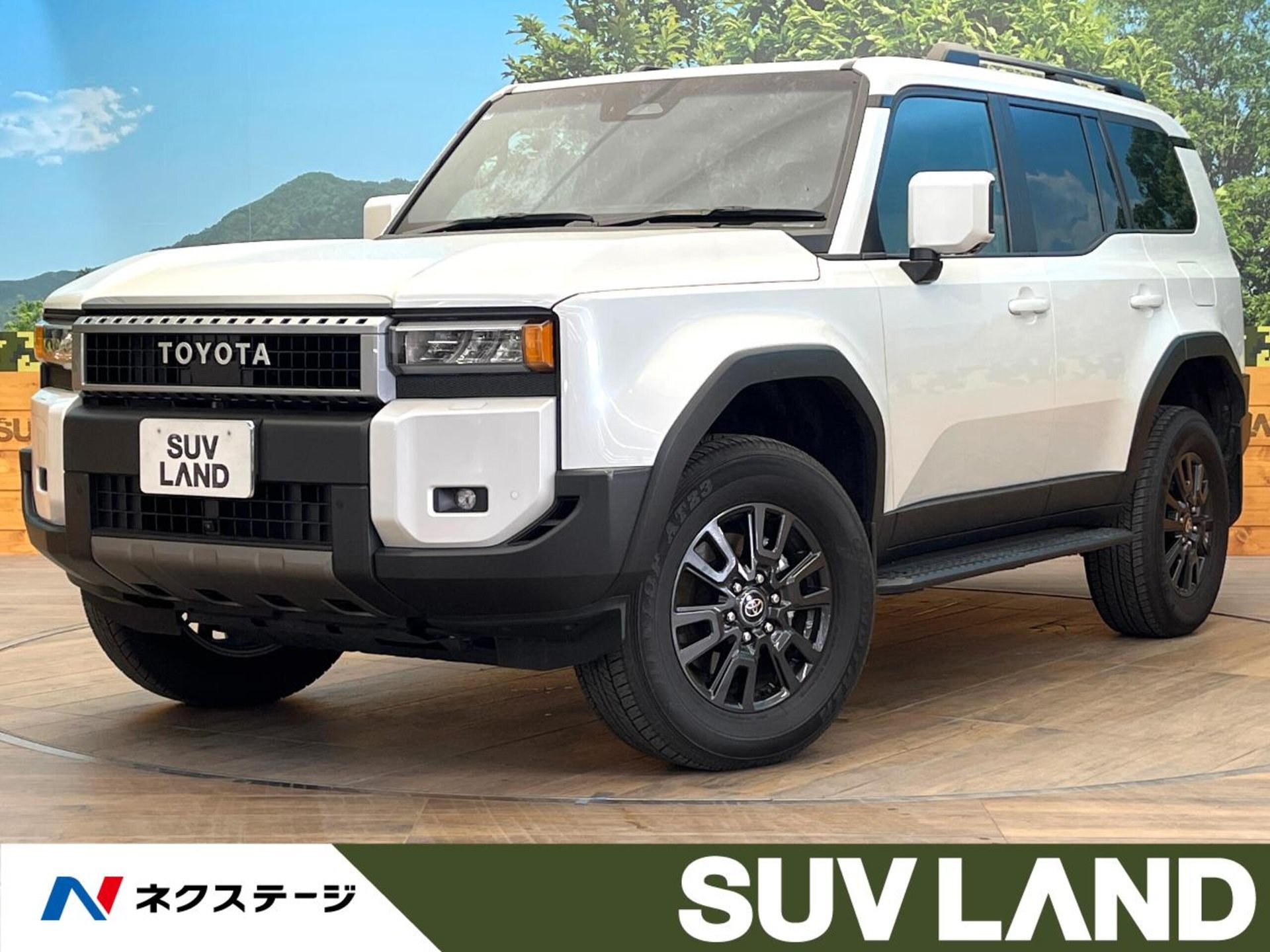 TOYOTA LAND CRUISER 250 - View 1