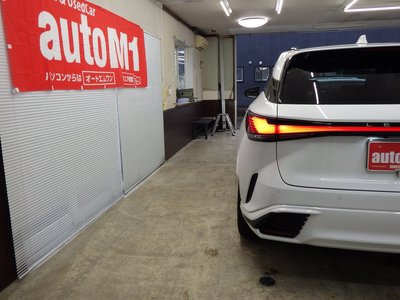 2024 Lexus RX 缩略图 62