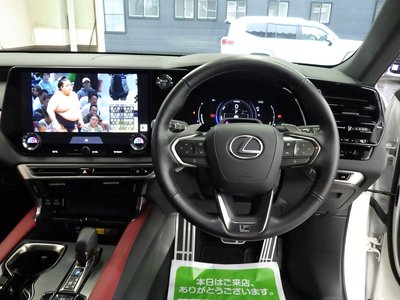 2024 Lexus RX 缩略图 50