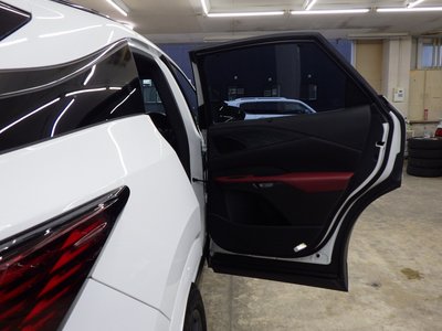 2024 Lexus RX 缩略图 75
