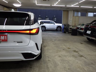 2024 Lexus RX 缩略图 61