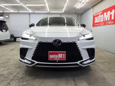 2024 Lexus RX 缩略图 65