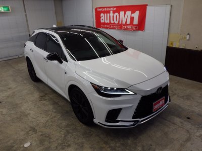 2024 Lexus RX 缩略图 63