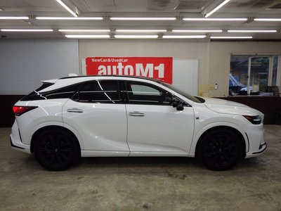 2024 Lexus RX 缩略图 69