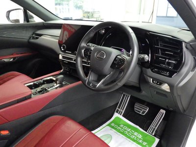2024 Lexus RX photo 10