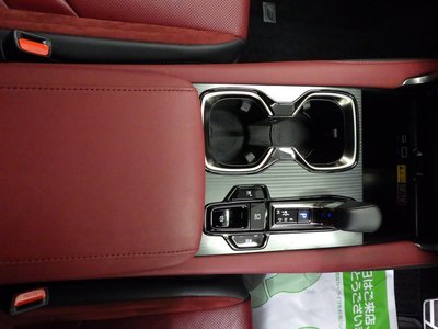 2024 Lexus RX 缩略图 44