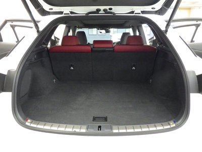 2024 Lexus RX 缩略图 21