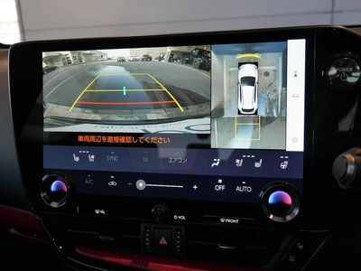 LEXUS NX - 10