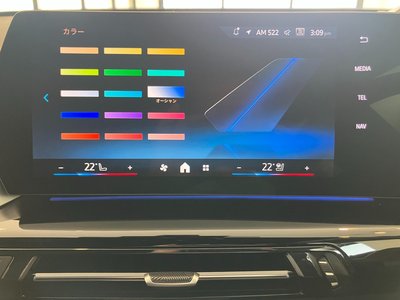 2025 BMW X1 thumbnail 30
