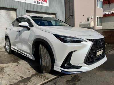 LEXUS NX - 8