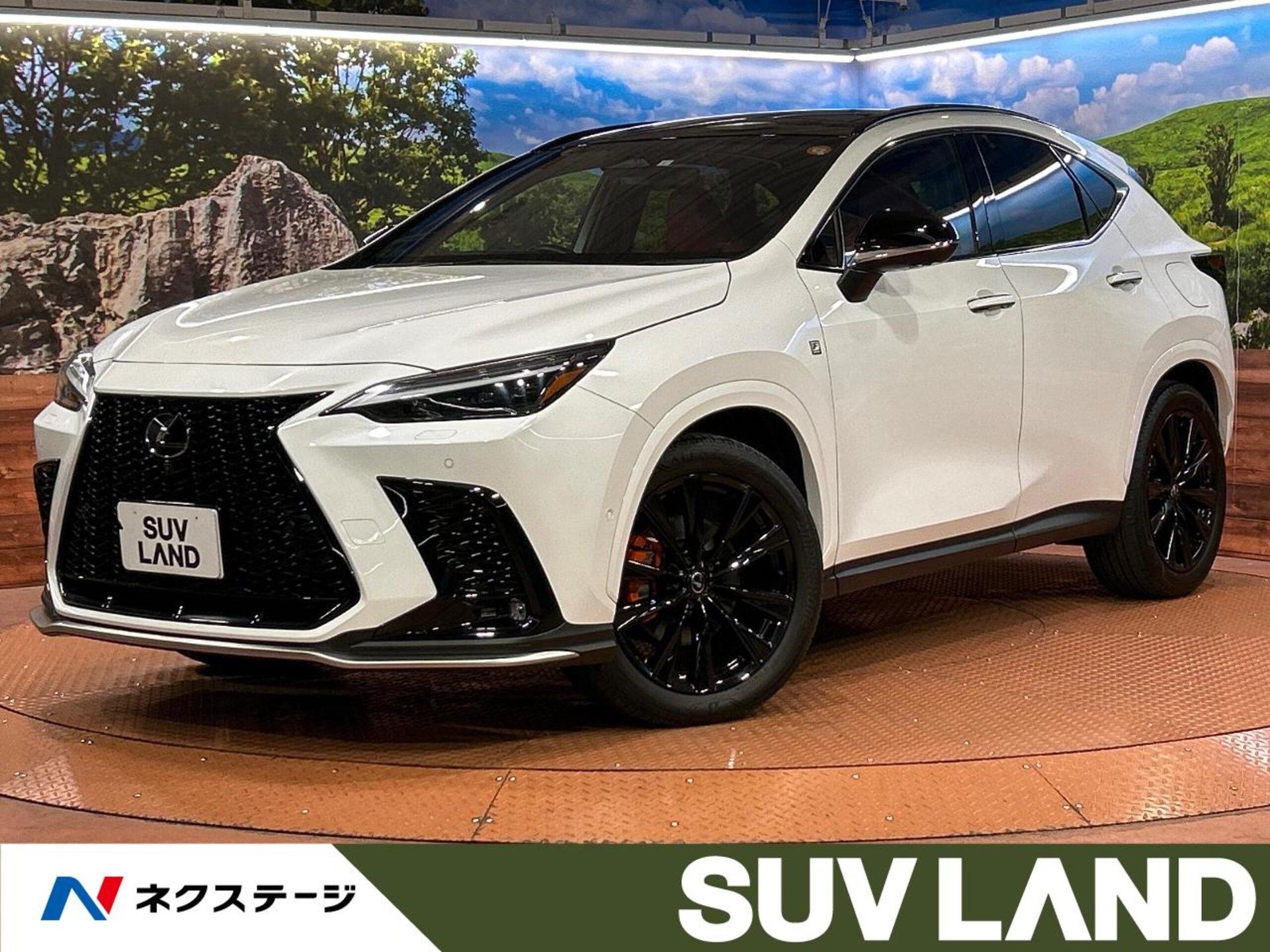 LEXUS NX - View 1