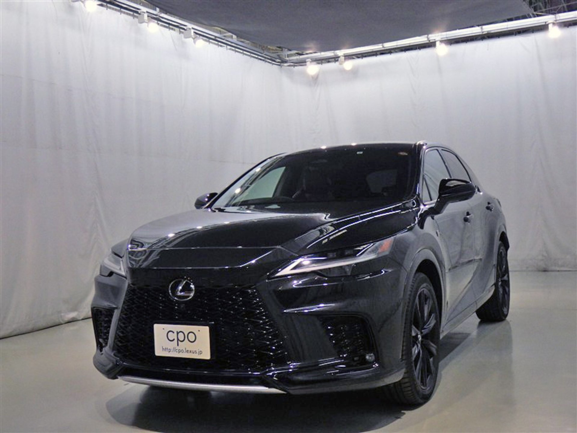 LEXUS RX - View 1