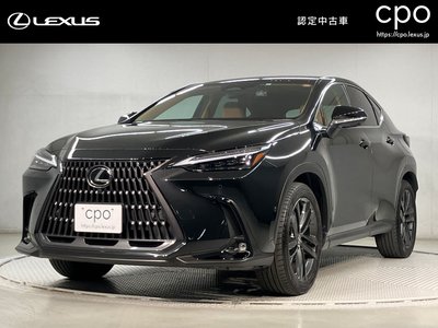 LEXUS NX - 1