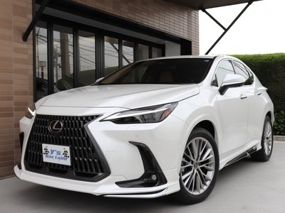 LEXUS NX - 10