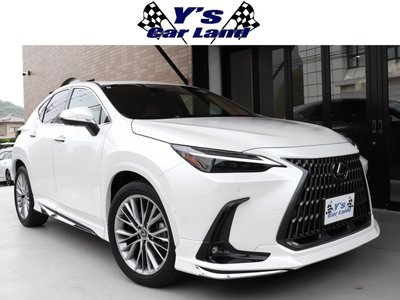 LEXUS NX - 1