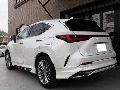 LEXUS NX - 2