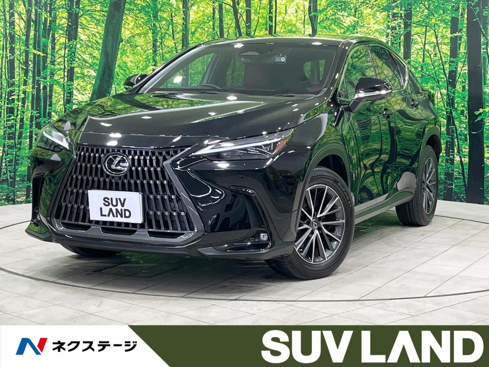 LEXUS NX - View 1