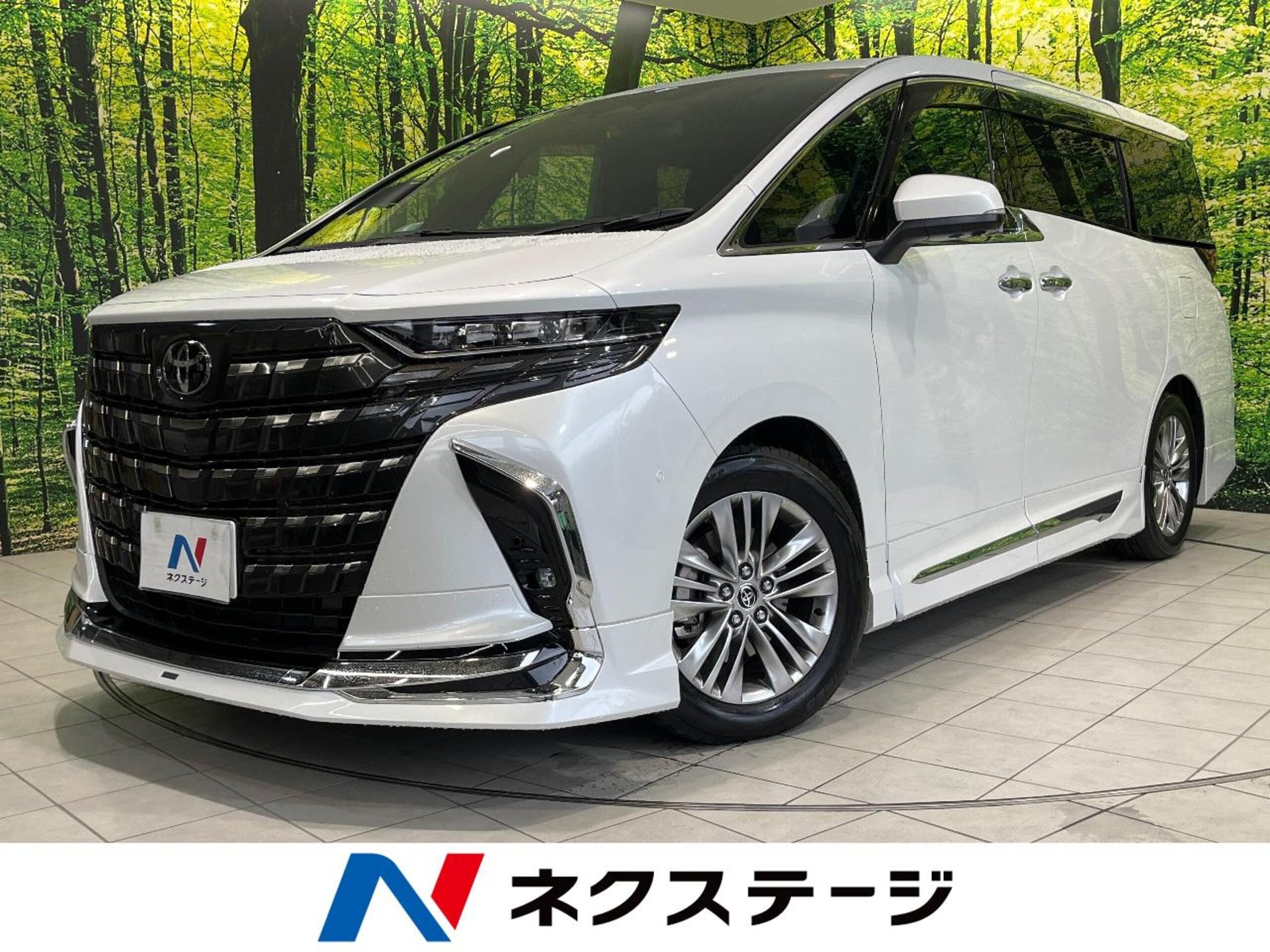 TOYOTA ALPHARD - View 1
