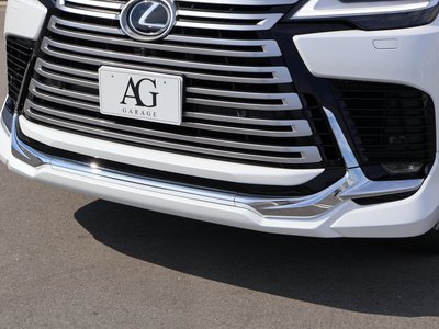 2025 Lexus LX thumbnail 12