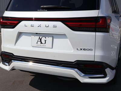2025 Lexus LX thumbnail 30