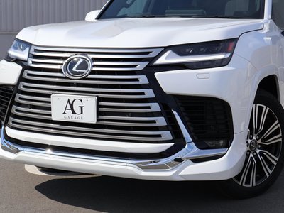 2025 Lexus LX thumbnail 11
