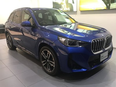 BMW X1 - 7
