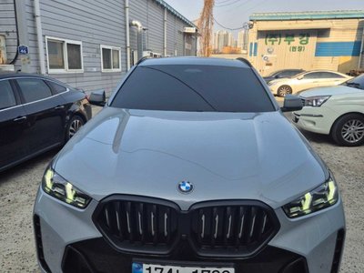 BMW X6 - 1