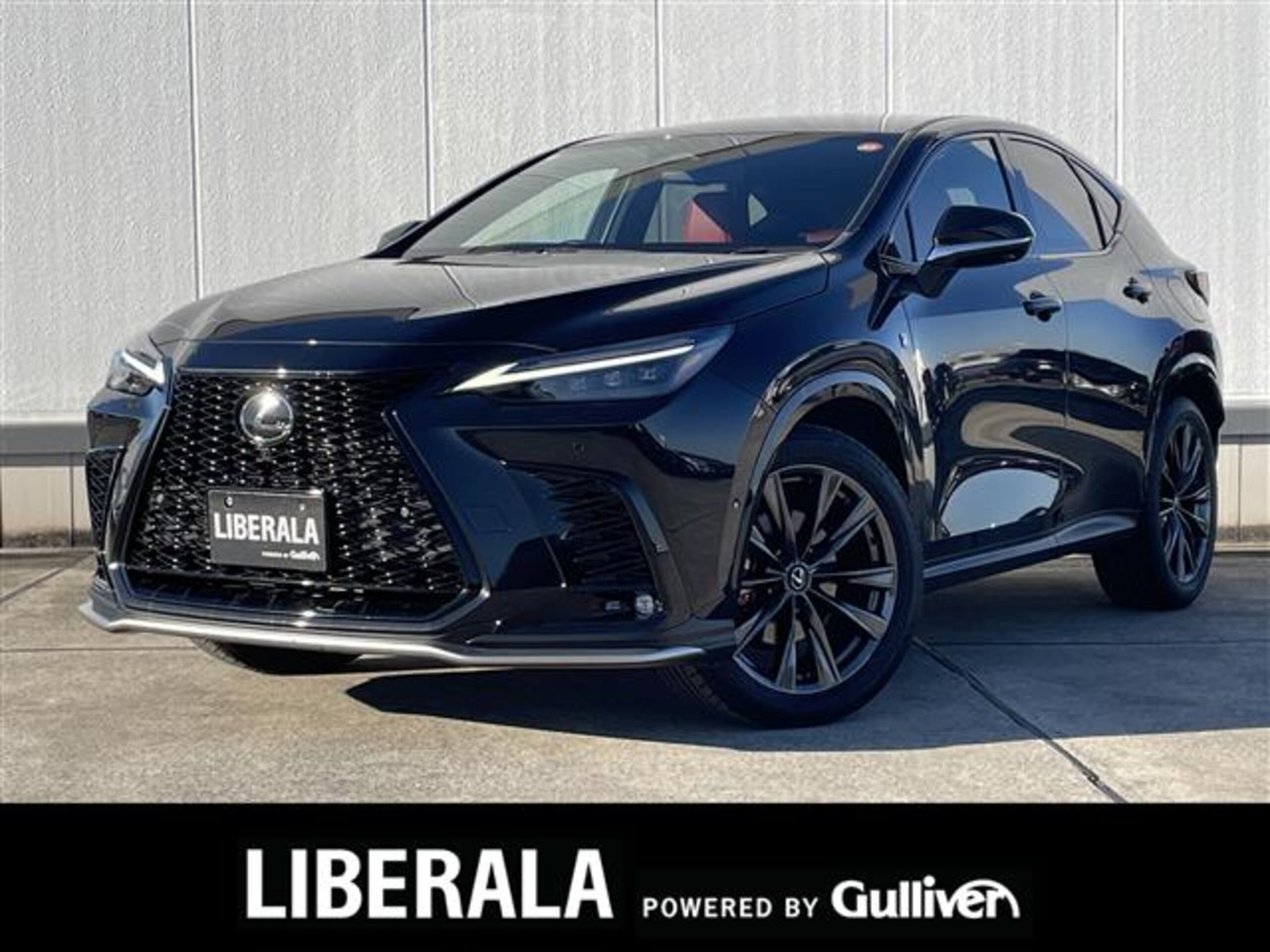 LEXUS NX - View 1