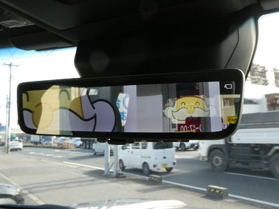 TOYOTA LAND CRUISER 250 - 6