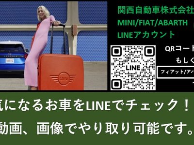 MINI MINI COUNTRYMAN - 6