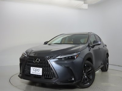 LEXUS NX - 6