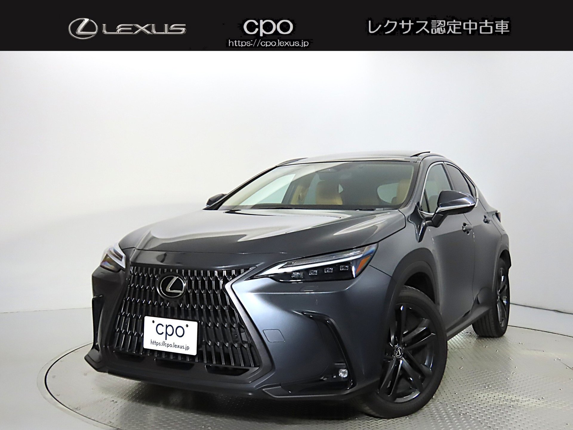 LEXUS NX - View 1
