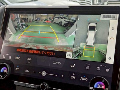 2025 Toyota ALPHARD — миниатюра 15