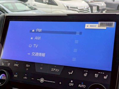 2025 Toyota ALPHARD — миниатюра 14