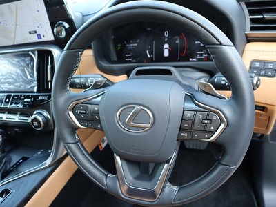 2025 Lexus LX — миниатюра 66