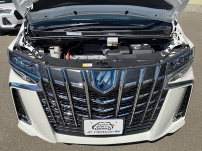 2022 Toyota ALPHARD — миниатюра 11