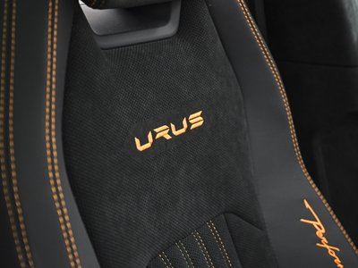 Thumbnail 17