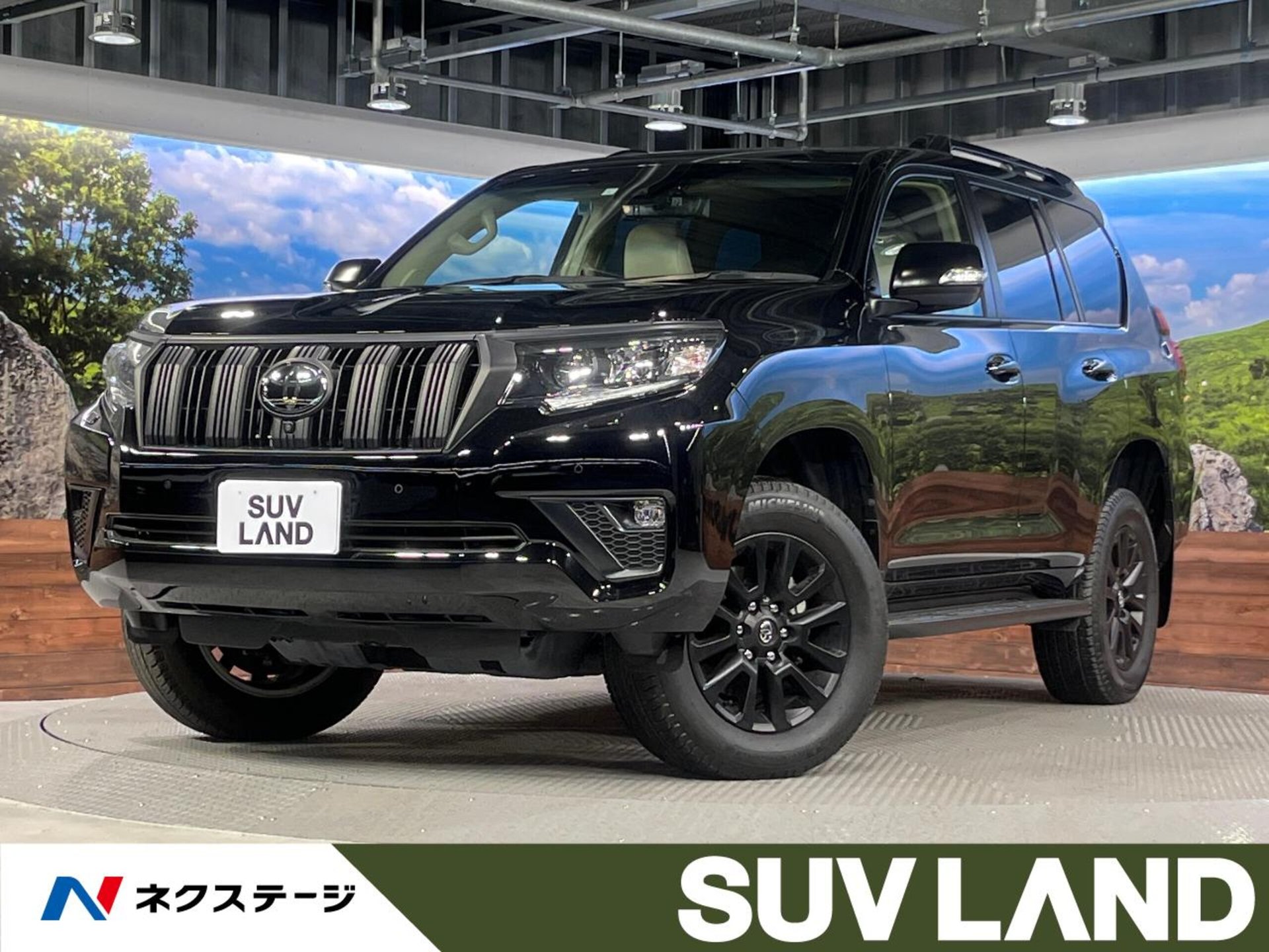 TOYOTA LAND CRUISER PRADO - View 1