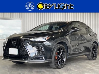 LEXUS NX - 1