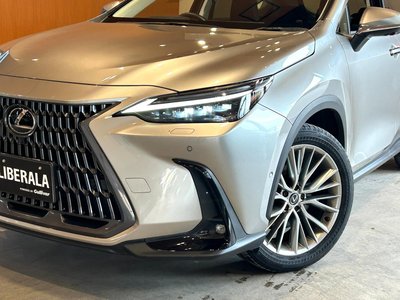2023 Lexus NX 缩略图 47