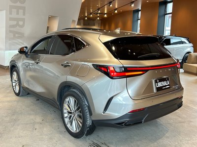 2023 Lexus NX 缩略图 50