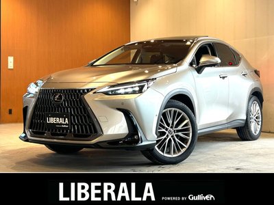 2023 Lexus NX 照片 1