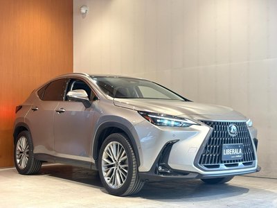 2023 Lexus NX 缩略图 44