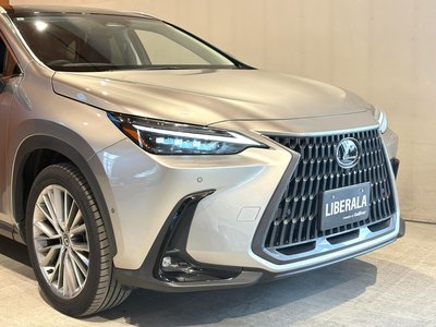 2023 Lexus NX 缩略图 45