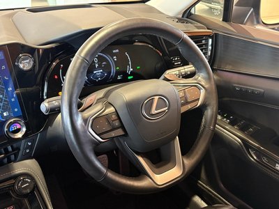 2023 Lexus NX 照片 8