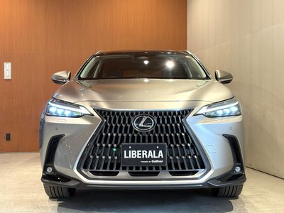 2023 Lexus NX 缩略图 46