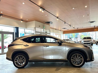 2023 Lexus NX 缩略图 52