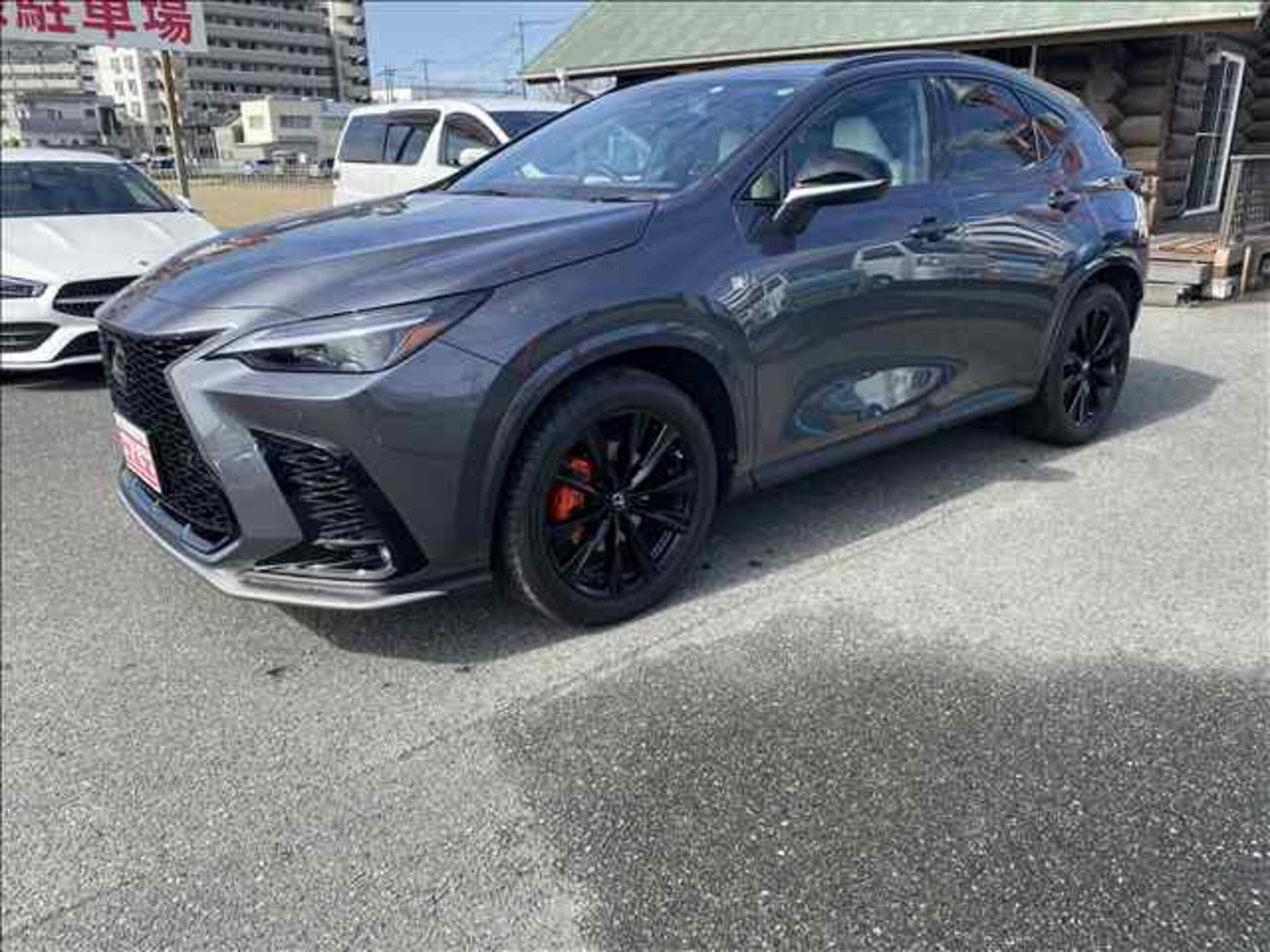LEXUS NX - View 1
