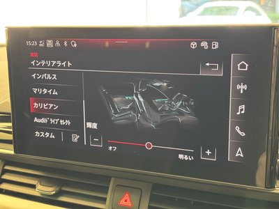2024 AUDI A4 AVANT 缩略图 19