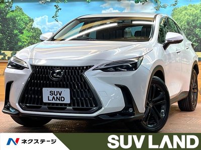 LEXUS NX - 1